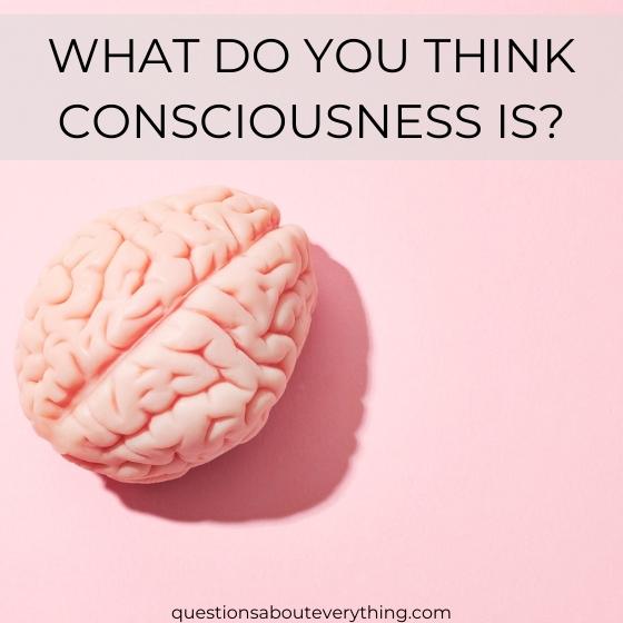 philosophical question on what you think consciousness is