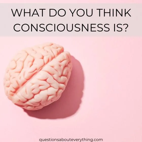 philosophical question on what you think consciousness is