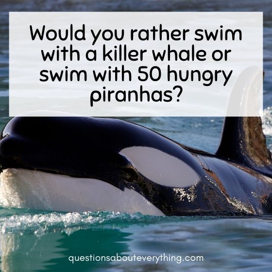 Would you rather kids questions about swimming 