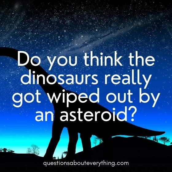 Yes no questions about dinosaurs