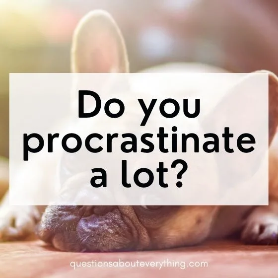 Yes no questions about procrastination 