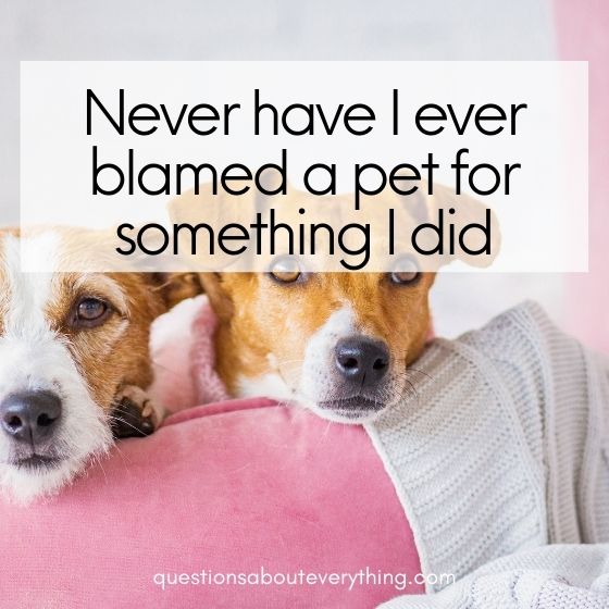 never have I ever blame pet 