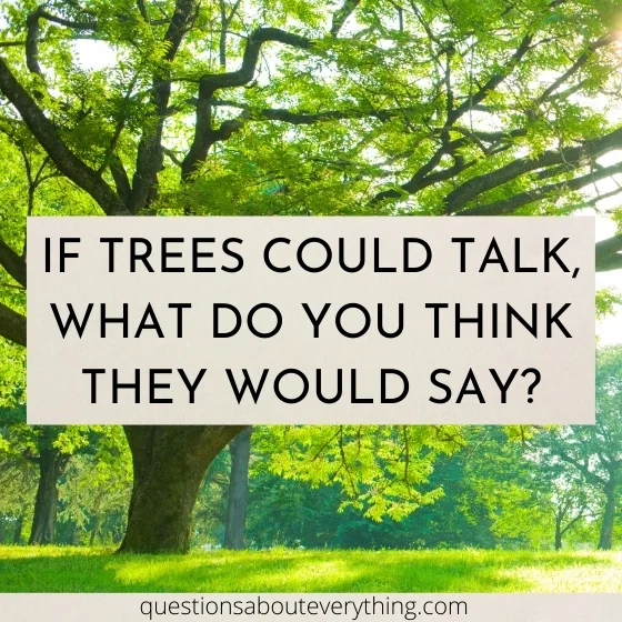 hardest question to answer on what trees would say if they could talk