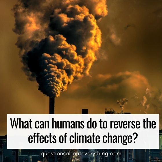 deep questions to ask anyone reversing climate change 