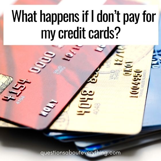 dumb questions credit cards