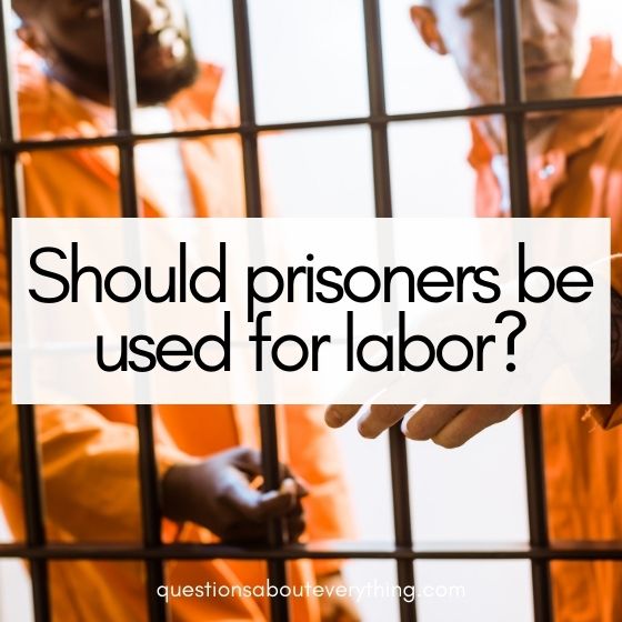 ethical questions about prisoners used for labour 