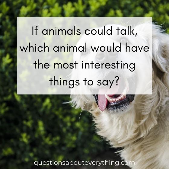 A good question to ask on which animal would have the most interesting things to say if they could talk