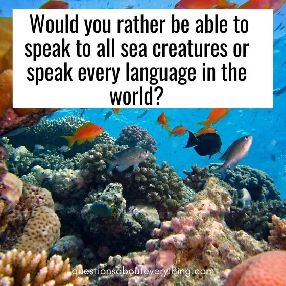 hard would you rather questions sea creatures 