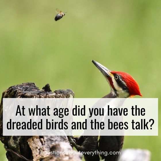 questions for married couples birds and the bees 