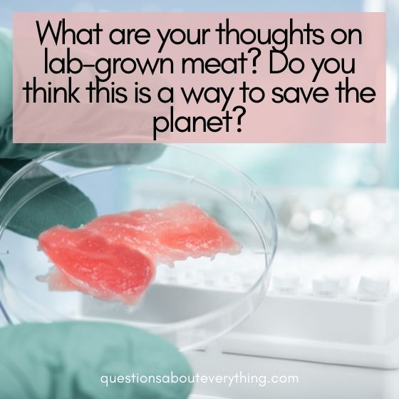 questions that make you think lab grown meat