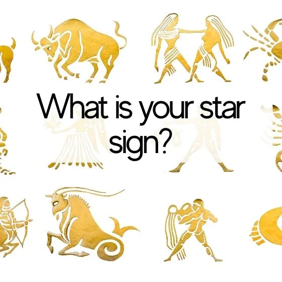 speed dating star sign 