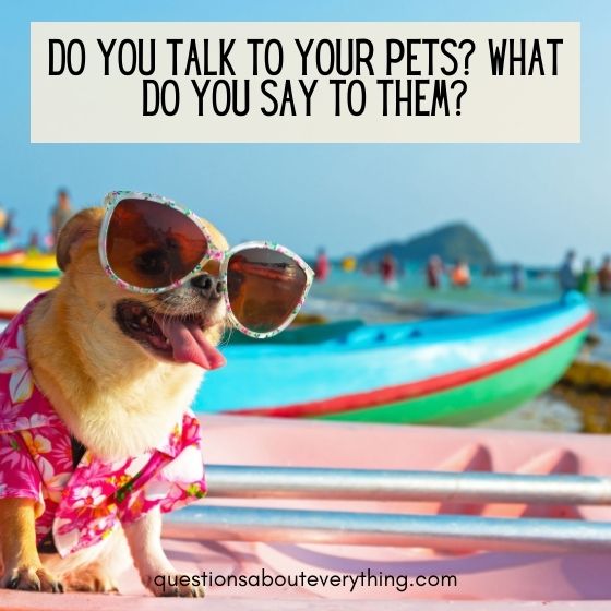 funny first date questions do you talk to your pets 