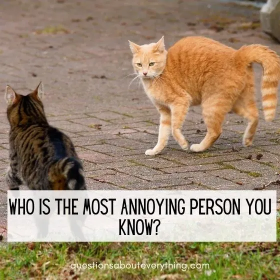 A question to ask friends about who's the most annoying person you know