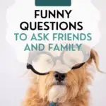 funny questions to ask pin