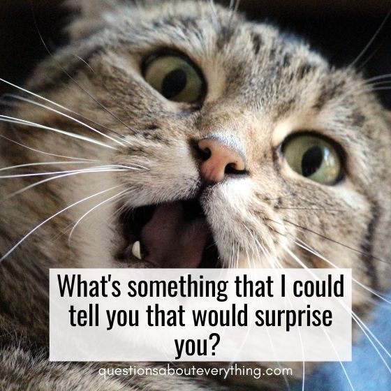 flirty questions to ask a guy what's something i could tell you that would surprise you