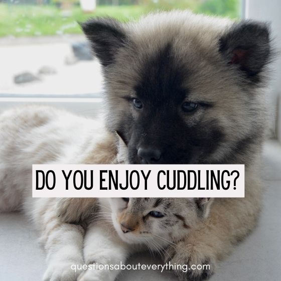 flirty questions to ask your crush do you enjoy cuddling 
