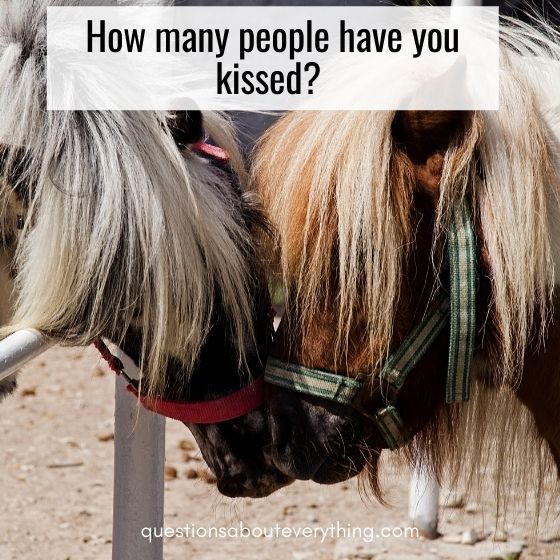 flirty snap chat questions to ask how many people have you kissed