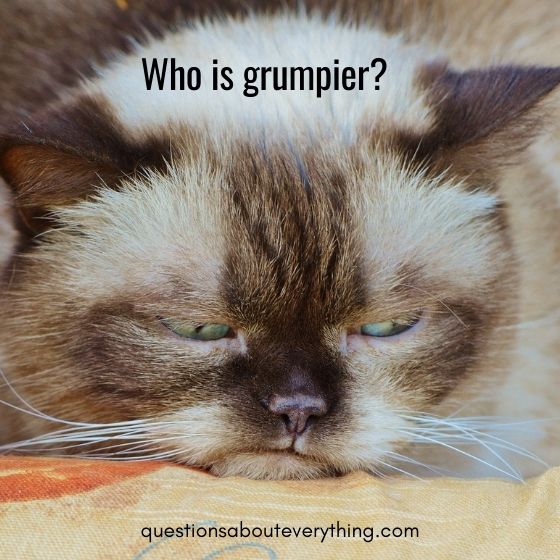 couples challenge questions who is grumpier 