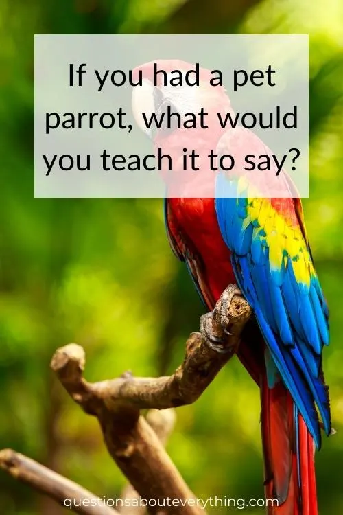 get to know you question for kids about what they would their pet parrot to say if they had one