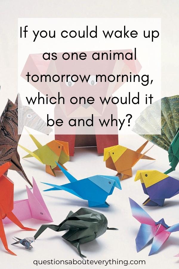 icebreaker question for kids on what animal they would want to be if they woke up as one the following morning