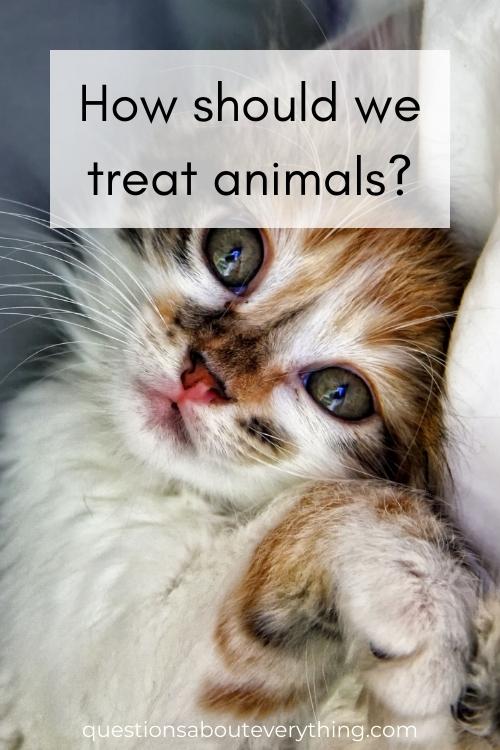 philosophical question for kids on how we should treat animals