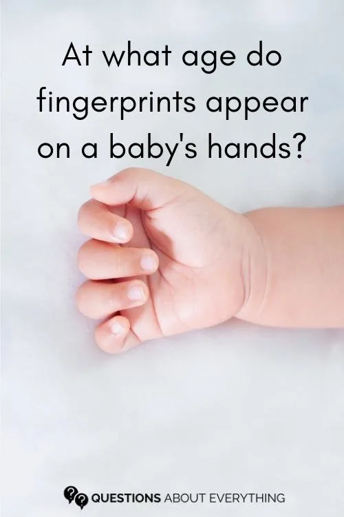 baby shower trivia question on the age fingerprints appear on a baby's hands