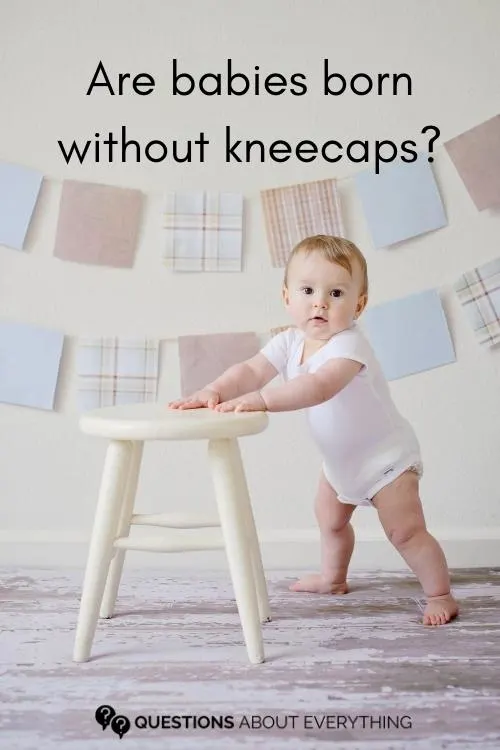 baby shower trivia question on whether babies are born without kneecaps